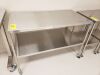 Midcentral Medical Stainless Steel Table, 24" x 48"