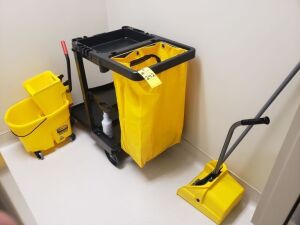 Janitorial Cart, Mop Bucket, Brooms, Dust Pans, 3M Disinfectant Pump, Etc. (Lot)