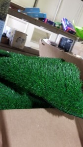 Artificial Grass (Lot)
